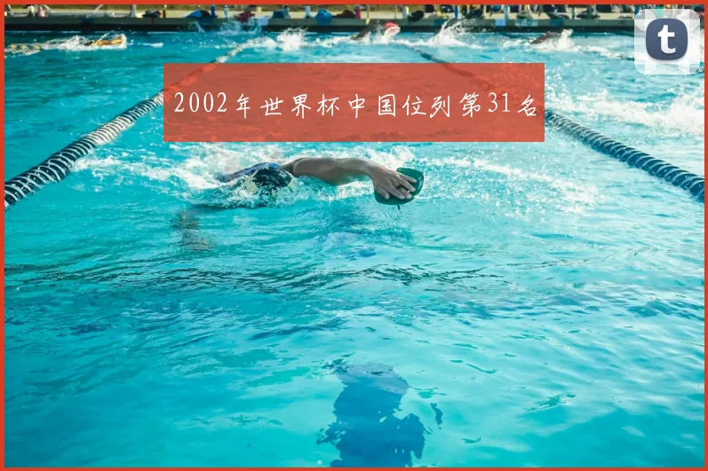 2002年世界杯中国位列第31名