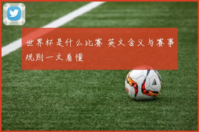 世界杯是什么比赛 英文含义与赛事规则一文看懂