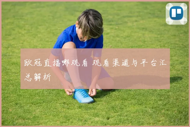 欧冠直播哪观看 观看渠道与平台汇总解析