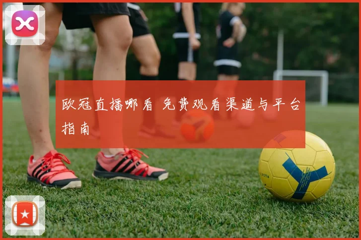 欧冠直播哪看 免费观看渠道与平台指南