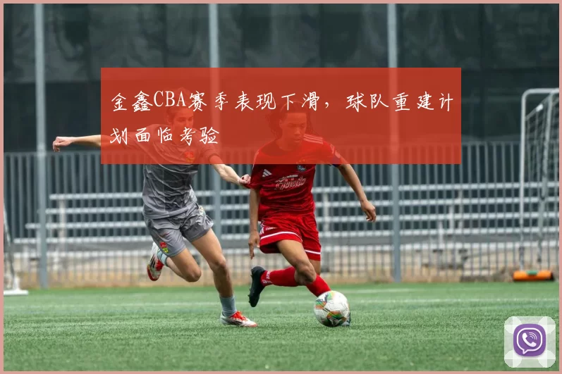 金鑫CBA赛季表现下滑，球队重建计划面临考验